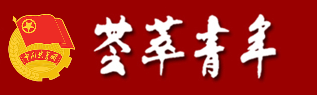 必赢776net
